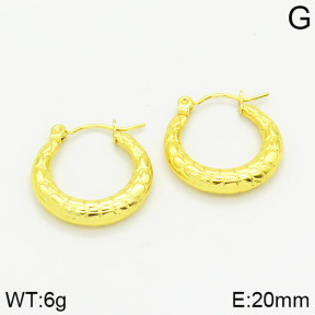 Stainless Steel Earrings  2E2001008vajj-689