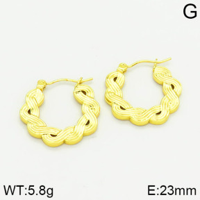 Stainless Steel Earrings  2E2001012vajj-689