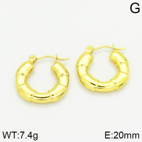 Stainless Steel Earrings  2E2001015vajj-689