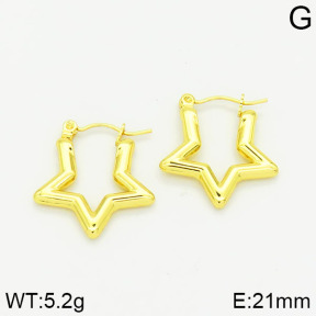 Stainless Steel Earrings  2E2001016vajj-689