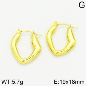 Stainless Steel Earrings  2E2001017vajj-689