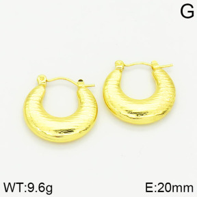 Stainless Steel Earrings  2E2001018vajj-689