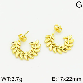 Stainless Steel Earrings  2E2001020vajj-689