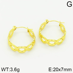 Stainless Steel Earrings  2E2001022vajj-689