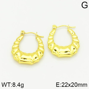 Stainless Steel Earrings  2E2001024vajj-689