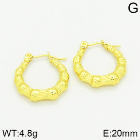 Stainless Steel Earrings  2E2001026vajj-689