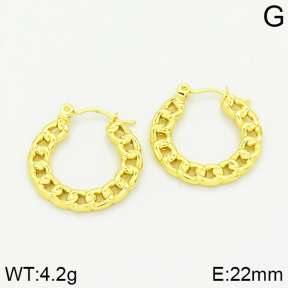 Stainless Steel Earrings  2E2001029vajj-689