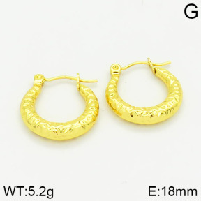 Stainless Steel Earrings  2E2001031vajj-689