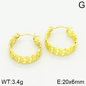 Stainless Steel Earrings  2E2001034vajj-689