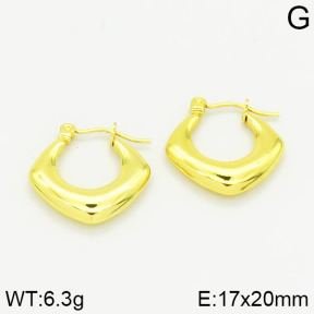 Stainless Steel Earrings  2E2001035vajj-689