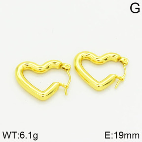 Stainless Steel Earrings  2E2001036vajj-689