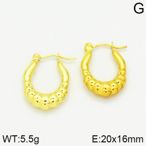 Stainless Steel Earrings  2E2001037vajj-689