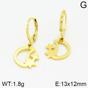 Stainless Steel Earrings  2E2001042avja-615