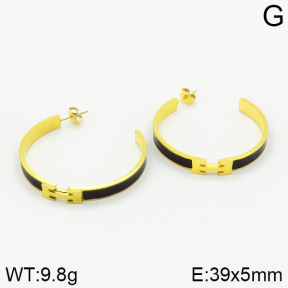 Stainless Steel Earrings  2E3000739vhha-434