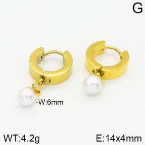 Stainless Steel Earrings  2E3000742baka-615