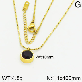 Stainless Steel Necklace  2N4000972bbml-434