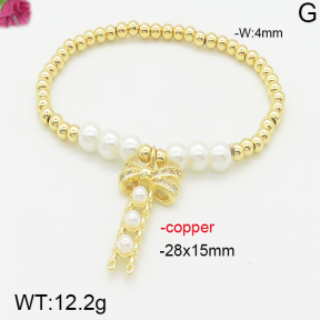 Fashion Copper Bracelet  F5B301126bhva-J111