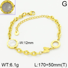 Stainless Steel Bracelet  2B4001633vhha-662