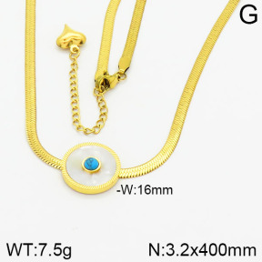 Stainless Steel Necklace  2N4000977vhha-662