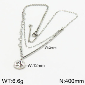 Stainless Steel Necklace  2N4000982bhia-662