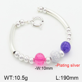 Stainless Steel Bracelet  5B4001177bbmo-742