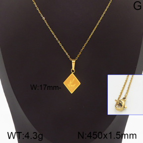 Stainless Steel Necklace  5N2001294ablb-742