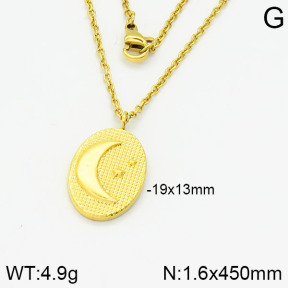 Stainless Steel Necklace  2N2001503vbpb-666