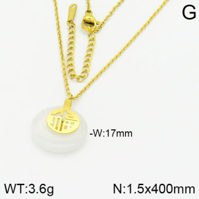 Stainless Steel Necklace  2N4001024vbnb-478