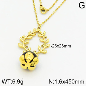 Stainless Steel Necklace  2N4001031vhha-666