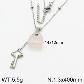 Stainless Steel Necklace  2N4001038bhia-666