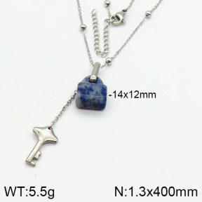 Stainless Steel Necklace  2N4001039bhia-666
