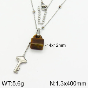 Stainless Steel Necklace  2N4001041bhia-666