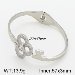 Stainless Steel Bangle  5BA400863ahlv-323