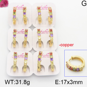 Fashion Copper Earrings  F5E400982ajvb-J22