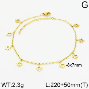 Stainless Steel Anklets  2A9000660bblo-738