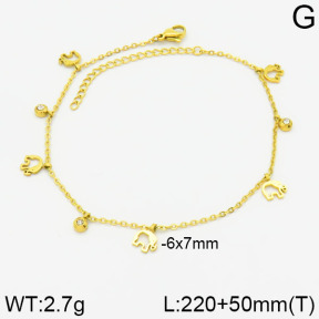 Stainless Steel Anklets  2A9000675bblo-738