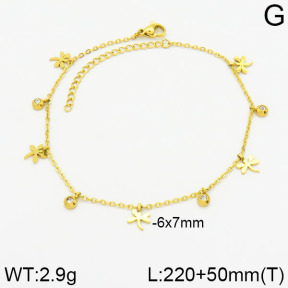 Stainless Steel Anklets  2A9000677bblo-738
