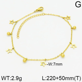 Stainless Steel Anklets  2A9000683bblo-738