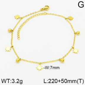 Stainless Steel Anklets  2A9000690bblo-738