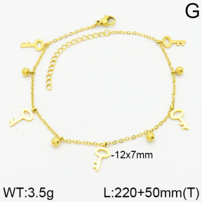 Stainless Steel Anklets  2A9000693bblo-738