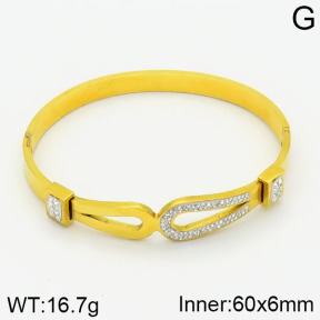 Stainless Steel Bangle  2BA400555vbpb-739