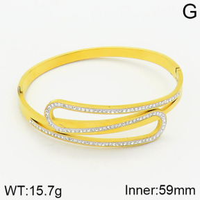 Stainless Steel Bangle  2BA400559vbpb-739