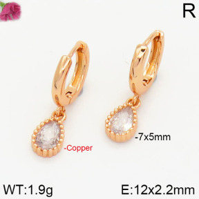 Fashion Copper Earrings  F2E4000621vbnl-J147