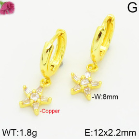 Fashion Copper Earrings  F2E4000635vbnl-J147