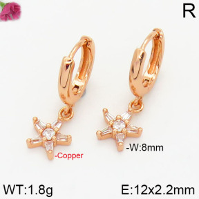 Fashion Copper Earrings  F2E4000636vbnl-J147