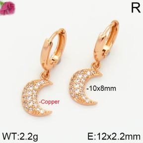 Fashion Copper Earrings  F2E4000663vbnl-J147