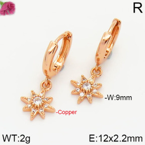 Fashion Copper Earrings  F2E4000690vbnl-J147