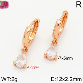 Fashion Copper Earrings  F2E4000696vbnl-J147