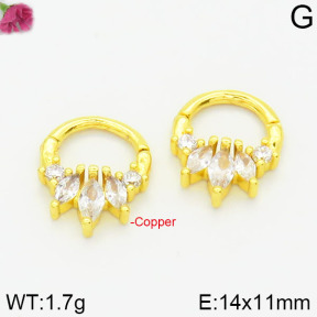Fashion Copper Earrings  F2E4000724bhva-J147