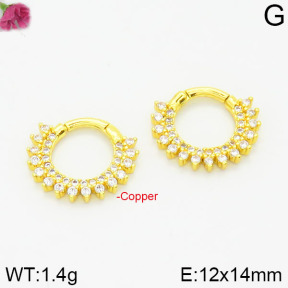 Fashion Copper Earrings  F2E4000726bhva-J147